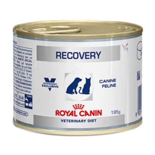 RECOVERY CANINE FELINE ROYAL CANIN por Tem Patas