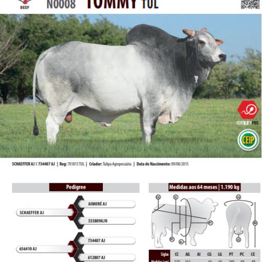 Touro Nelore Tommy TUL (N0008)