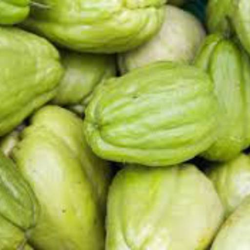 Chuchu por Quitanda da Vila 