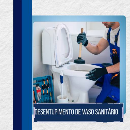 Desentupimento de Vaso Sanitário