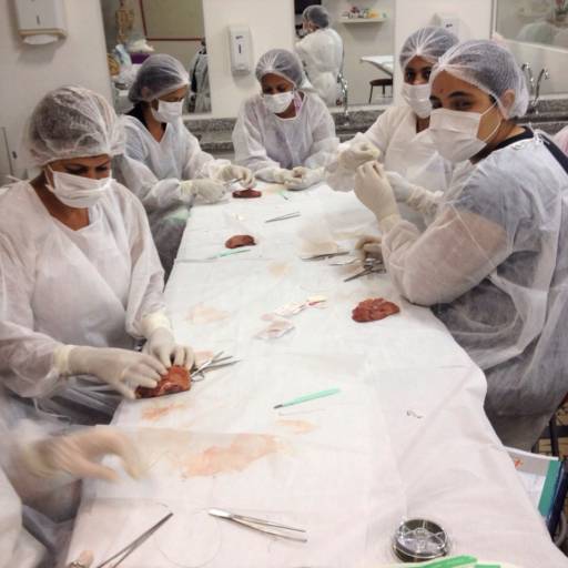 CURSO DE AUXILIAR EM SAÚDE BUCAL por Projeta Cursos Profissionalizantes 