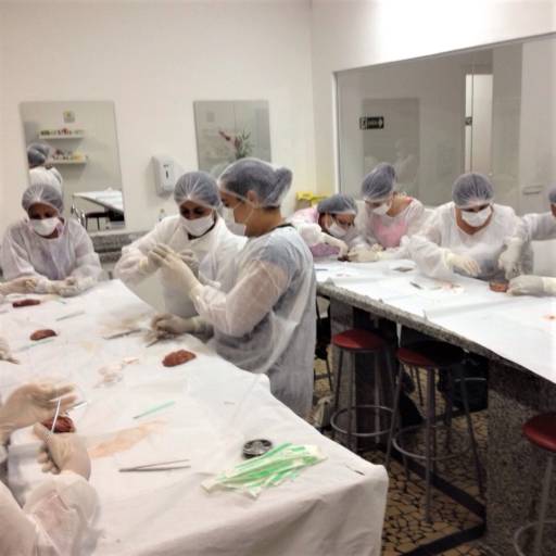 CURSO DE AUXILIAR EM SAÚDE BUCAL por Projeta Cursos Profissionalizantes 