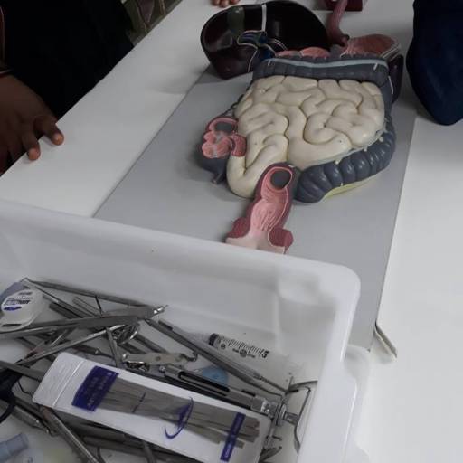 CURSO DE AUXILIAR EM SAÚDE BUCAL por Projeta Cursos Profissionalizantes 