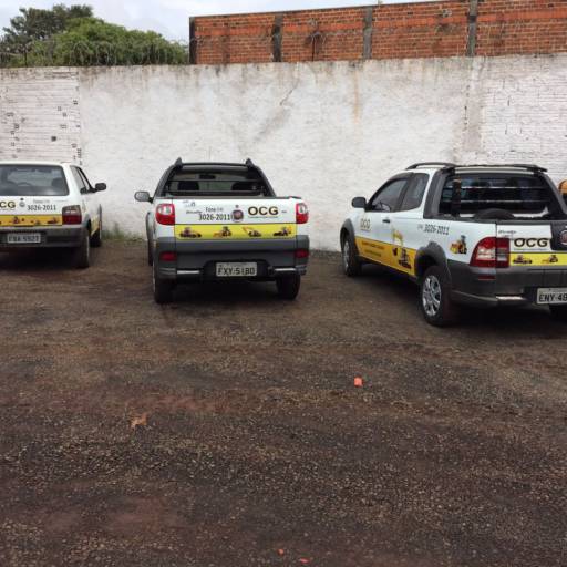 Frota de veículos personalizados