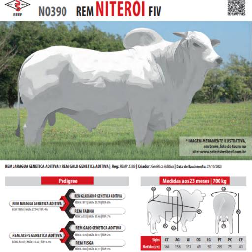 Touro Nelore Rem Niterói FIV (N0390)