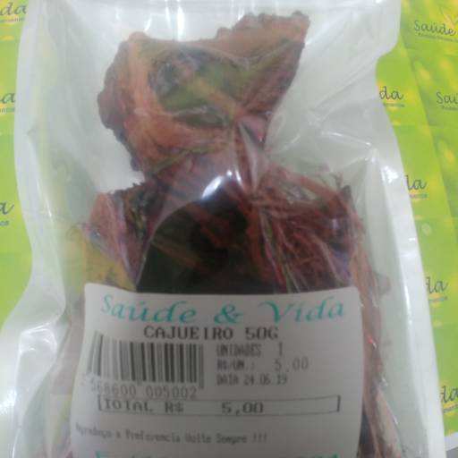 Cajueira por Saúde e Vida