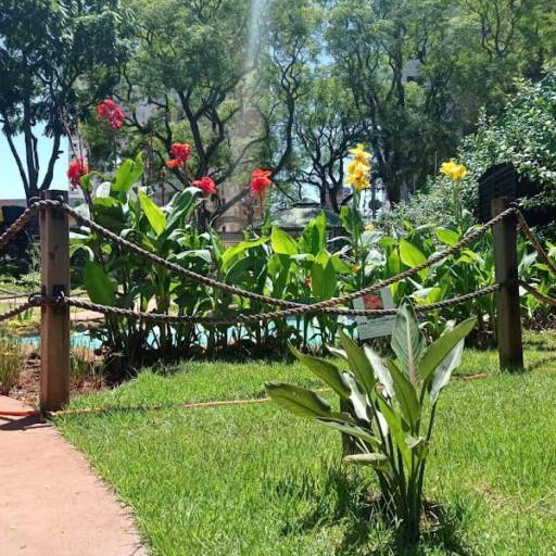 Manutenção de jardim por Eco Foz Serviços