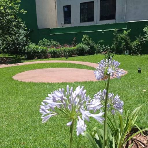 Manutenção de jardim