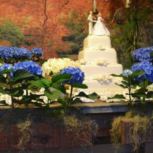 Alguns dos nossos trabalhos - Album 3 por Buffet JR Eventos 