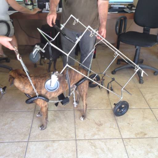 D4 COLOCAÇÃO RAJADO por VetCar