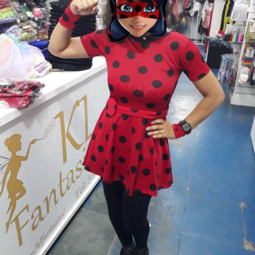Comprar o produto de Vestido Ladybug em Fantasias pela empresa KL Fantasias em Praia Grande, SP por Solutudo