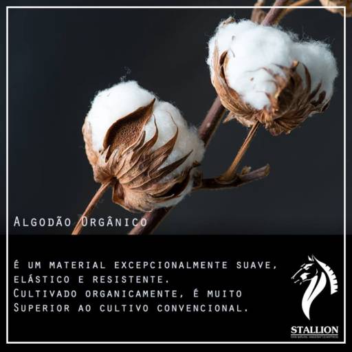 Colchão Stallion  por Deko Colchões & Enxovais