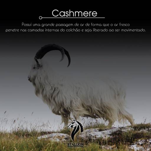 Colchão Stallion  por Deko Colchões & Enxovais