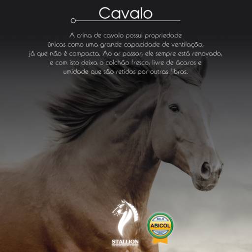 Colchão Stallion  por Deko Colchões & Enxovais