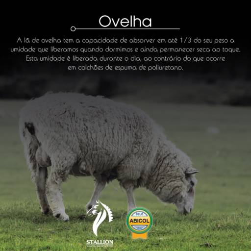 Colchão Stallion  por Deko Colchões & Enxovais