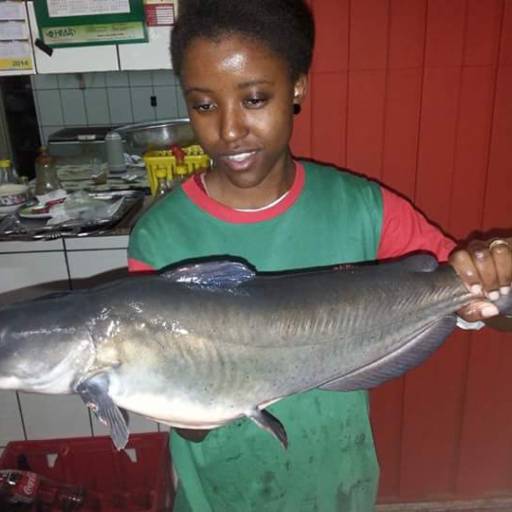 Comprar o produto de Um pouco de nossos peixes... em Outros Serviços pela empresa Pesqueiro Sol Nascente em Marília, SP por Solutudo