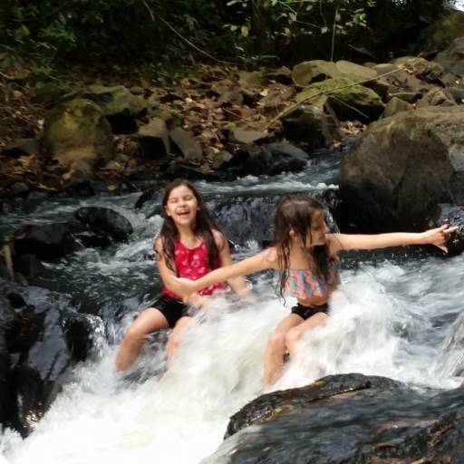 Comprar o produto de Pacote infantil meio periodo nas cachoeiras secretas  em Viagens e Turismo pela empresa Iguassu Secret Falls em Foz do Iguaçu, PR por Solutudo