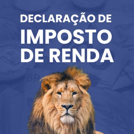 Declaração de Imposto de Renda por Contador Resolve Escritório de Contabilidade em Foz do Iguaçu