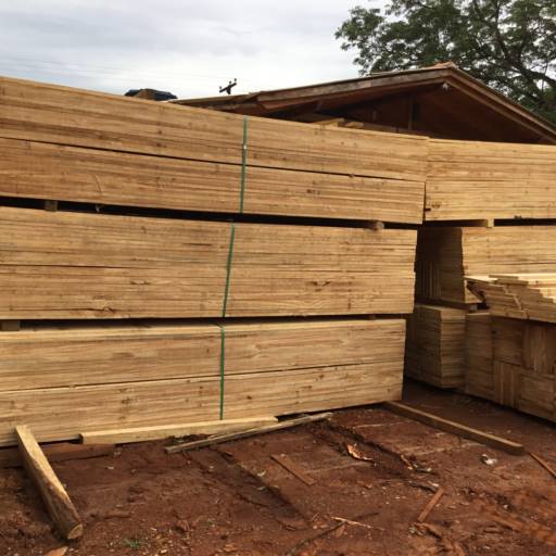 Comprar o produto de Madeira de Pinus em Madeira pela empresa Paraná Madeiras em Foz do Iguaçu, PR por Solutudo