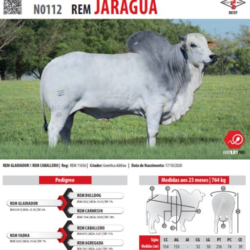 Touro Nelore Rem Jaraguá (N0112)