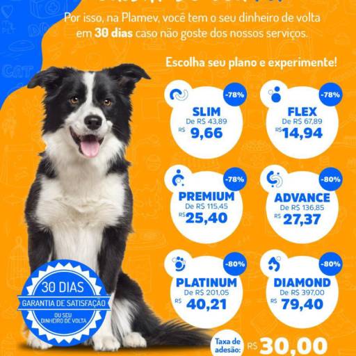 Comprar o produto de PROMOÇÃO DE ATÉ 80% DE DESCONTO em Veterinário pela empresa Plamev - Planos de Saúde Pet em Aracaju, SE por Solutudo