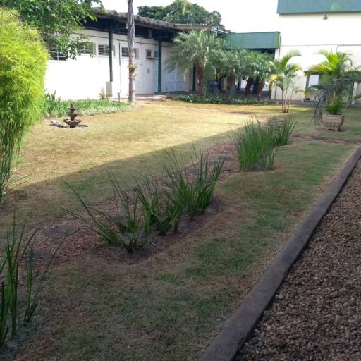 Comprar o produto de Manutencao de jardim em A Classificar pela empresa 3 Verde Jardinagem em Botucatu, SP por Solutudo