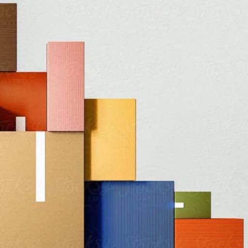 6S - Serviço Personal Organizer - Organização de Mudanças Residenciais (closets)