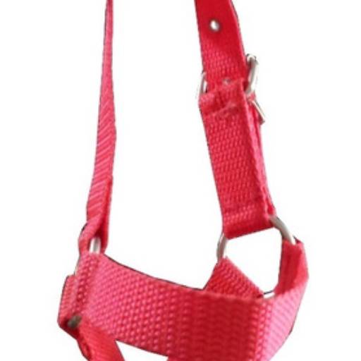 Cabresto de ovelha em Bom Jesus dos Perdões, SP por Agropecuária Lukan