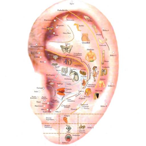 Auriculoterapia em Americana, SP por Regiane Rodrigues Estética e Bem Estar 