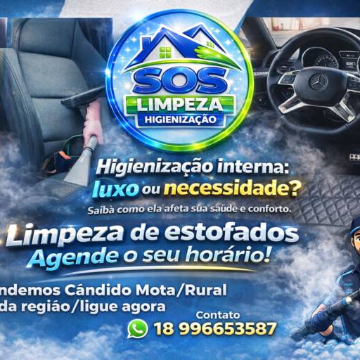 Limpeza, desinfecção e higienização de carros em maquinário, sp