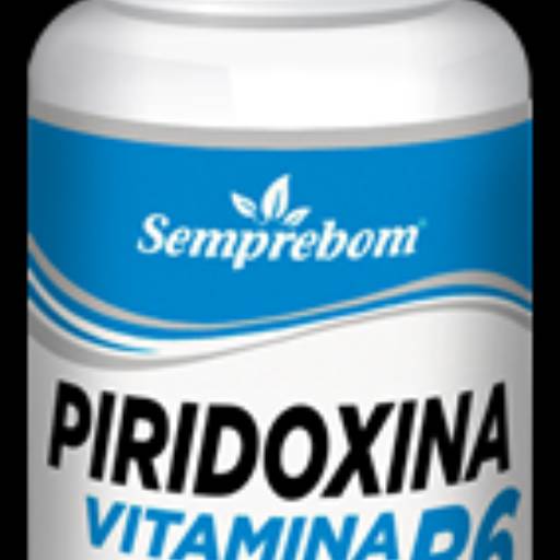 Comprar o produto de VITAMINA B6  - PIRIDOXINA  - 240MG - 60 CAPSULAS em Vitaminas e Minerais pela empresa Natus Produtos Naturais em Aracaju, SE por Solutudo