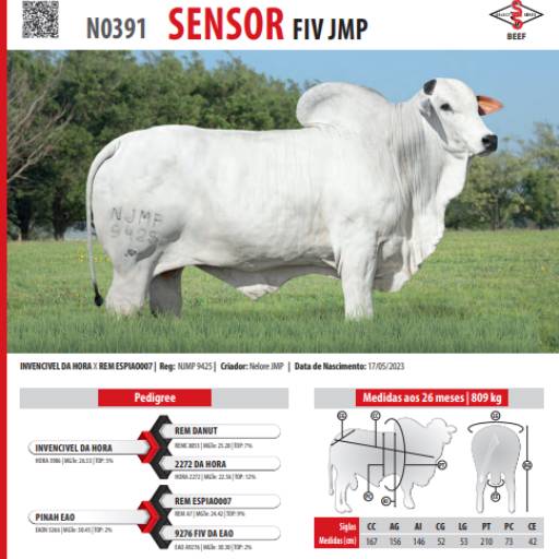 Touro Nelore Sensor FIV JMP (N0391)