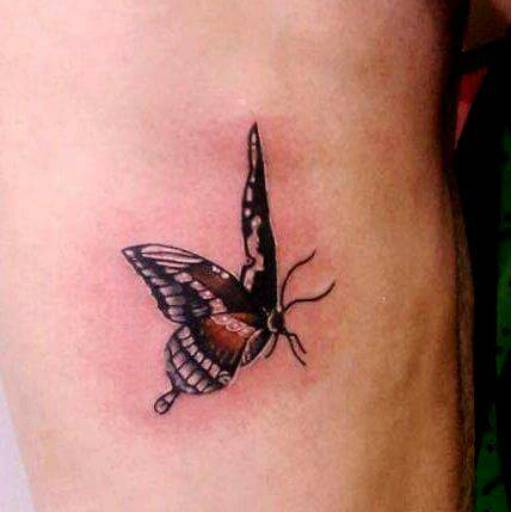 Borboleta 