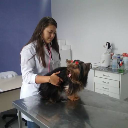 Equipe Val Pet Shop por Val Pet Shop