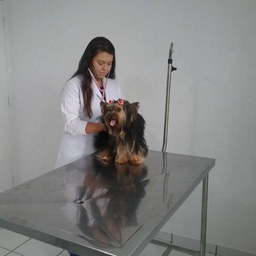 Equipe Val Pet Shop por Val Pet Shop
