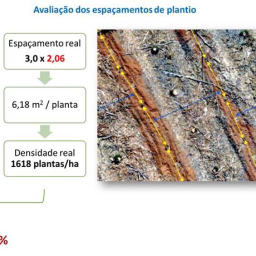 Monitoramento Ambiental com Drones em Botucatu, SP por Spectrum Inteligência Agro Florestal