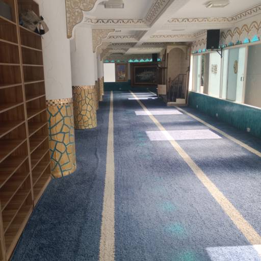Higienização de Carpetes