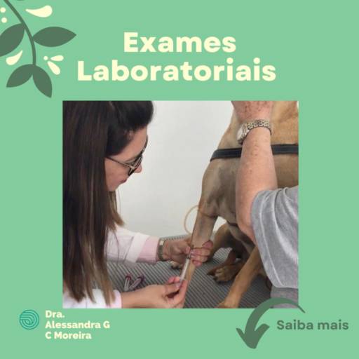 Exames Laboratoriais Veterinários por Veterinária em Domicílio - Dra. Alessandra Gisele C. Moreira