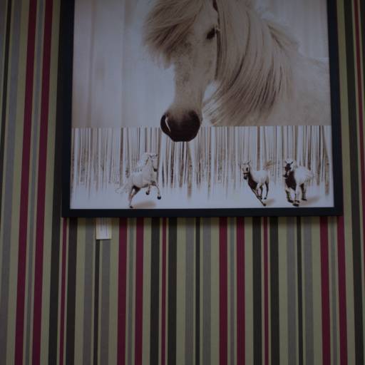 QUADROS por Piatto Decorações