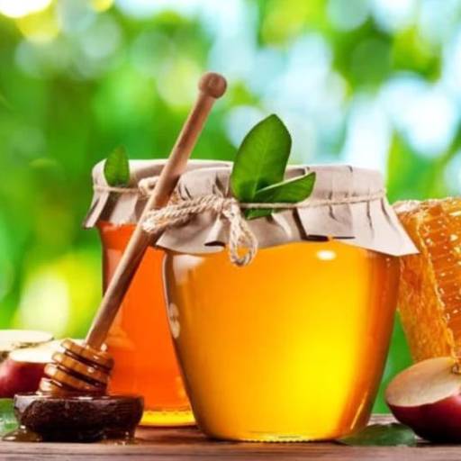 MEL SILVESTRE PURO DE ABELHAS 100 % ORGANICO