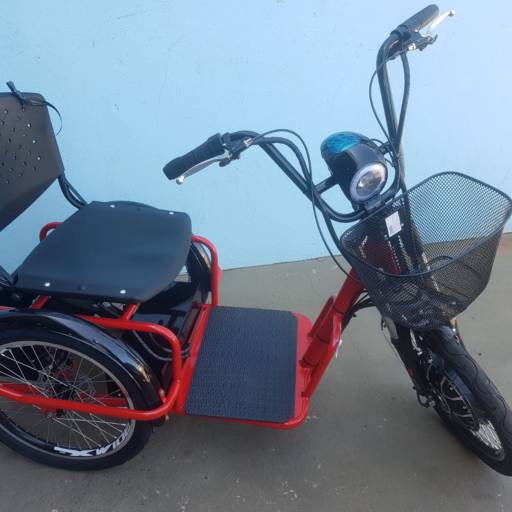 Triciclo Elétrico 800W com marcha Ré Farol e Alarme Fox Vermelho com Cestinha Frontal e Cesto traseiro - Duos em Bauru, SP por Two Force Bike Shop