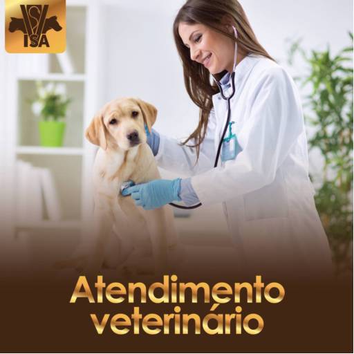 Atendimento Veterinário por Instituto Saúde Animal