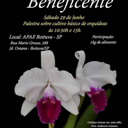 Palestra sobre Cultivo Básico de Orquídeas