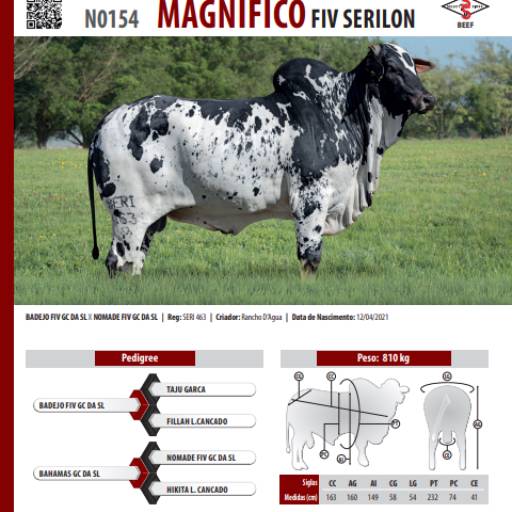 Touro Nelore Pintado Magnífico FIV Serilon (N0154)