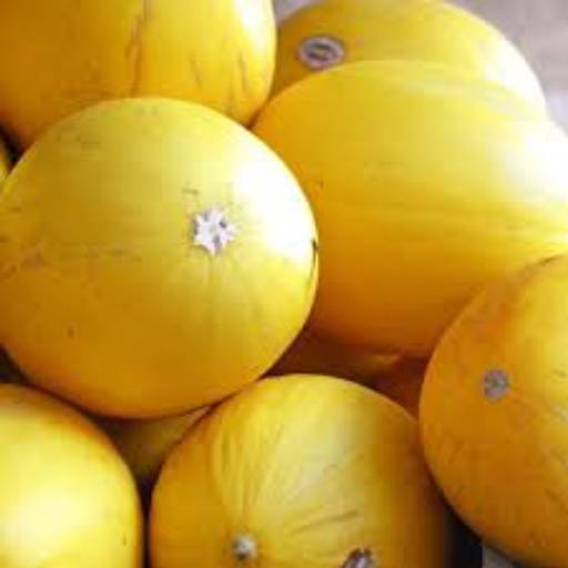 Melão por Quitanda da Vila 