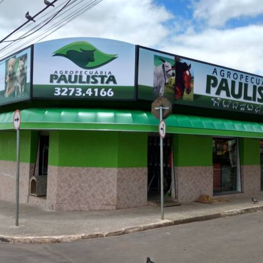 Painel de impressão digital para fachada em Itapetininga por Disk Toldos - Soluções Completas e Duráveis para Coberturas e Fachadas em Itapetininga