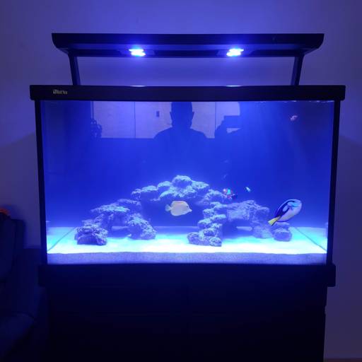 Montagens e Manutenções 