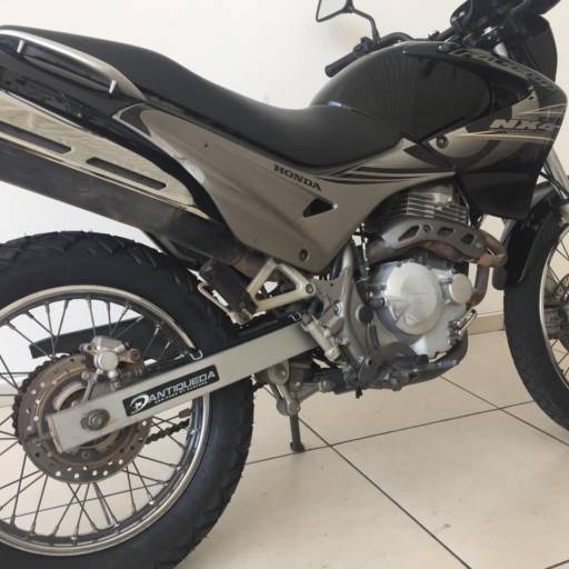 falcon cinza