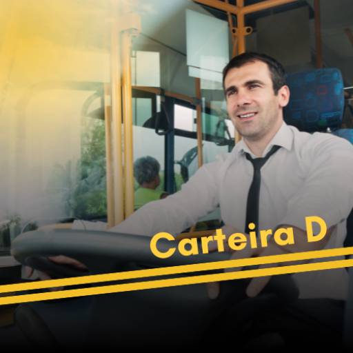 Carteira D