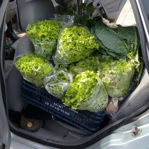 Comprar o produto de Verduras em Alimentos e Bebidas pela empresa Verduras Express em São Carlos, SP por Solutudo